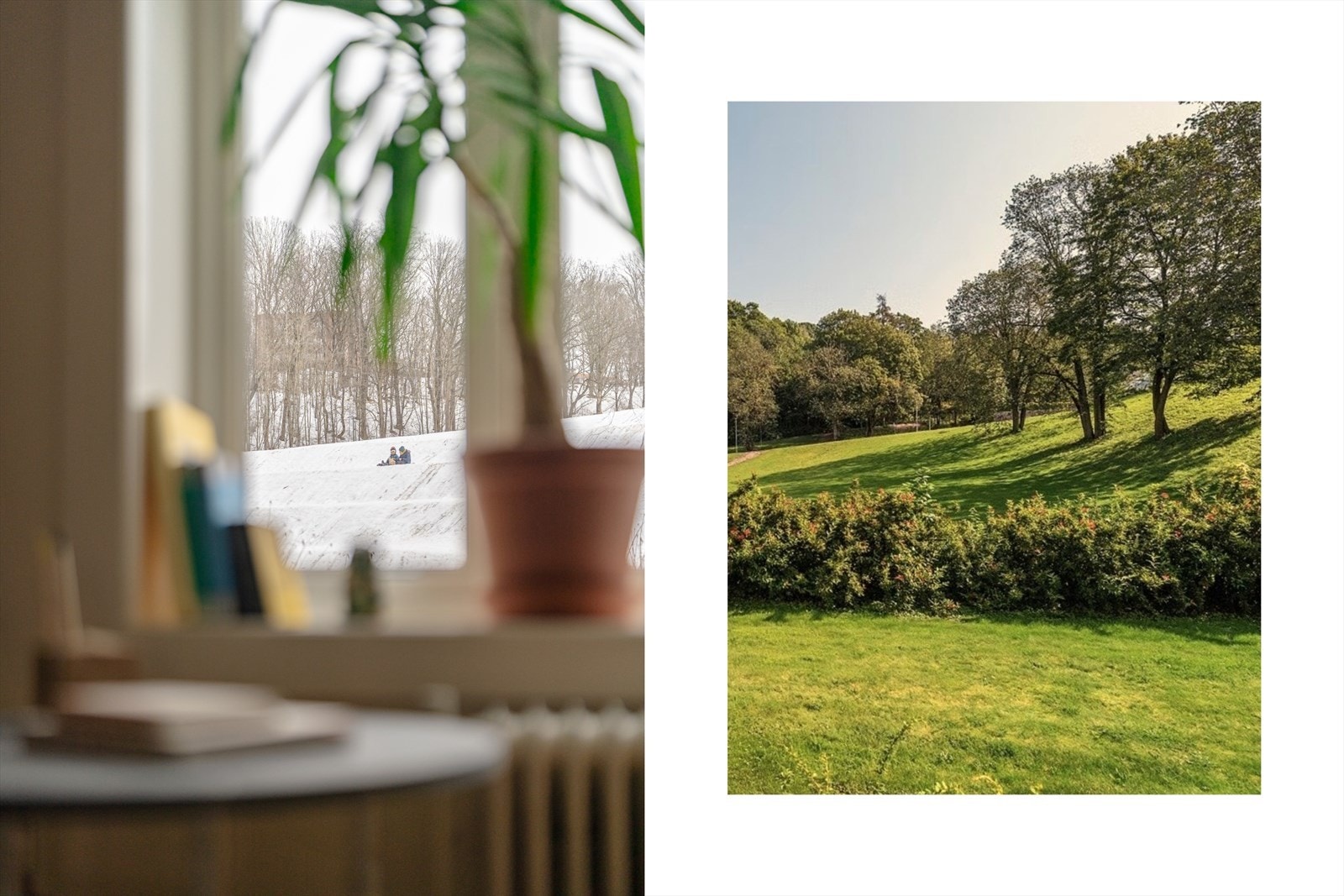 En slik utsikt midt i byen er ikke alle forunt! Omgivelsene utenfor blir invitert inn i din egen bolig, og gir deg en herlig opplevelse av de fire ulike årstidene. Galleribilde