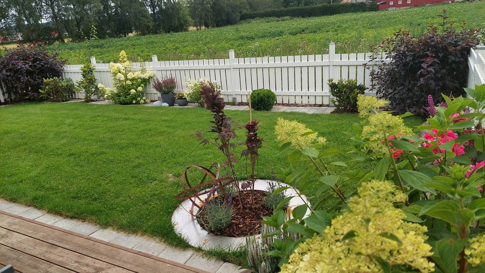 Sommerbilde fra selger Galleribilde