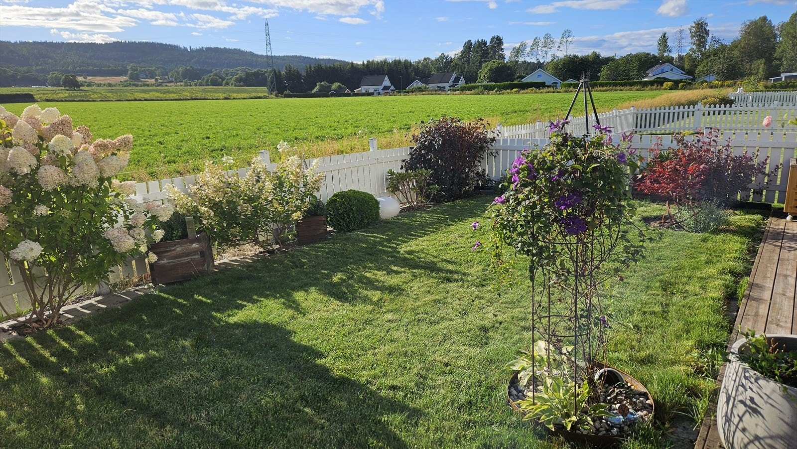 Sommerbilde fra selger Galleribilde