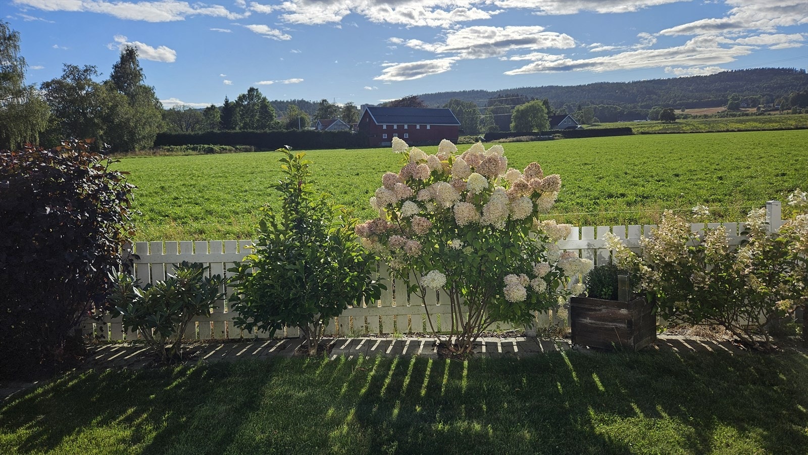 Sommerbilde fra selger Galleribilde