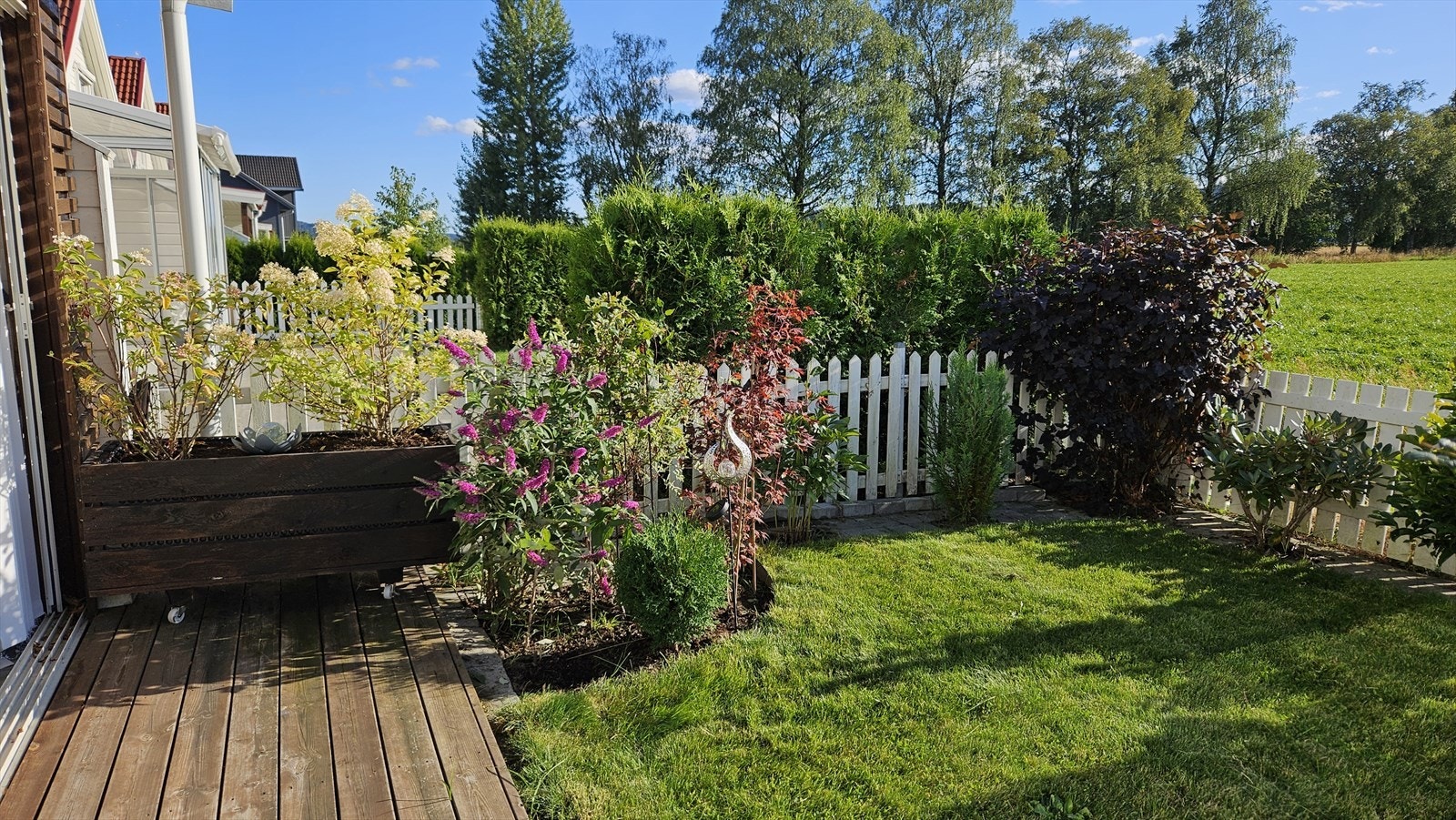 Sommerbilde fra selger Galleribilde