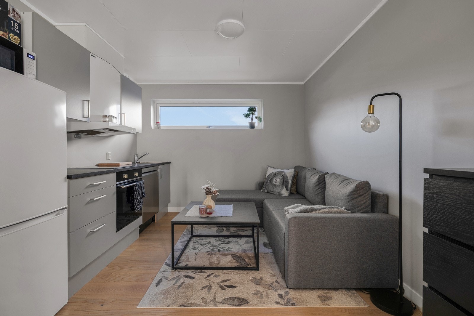 Stue og kjøkken i utleiedel Galleribilde