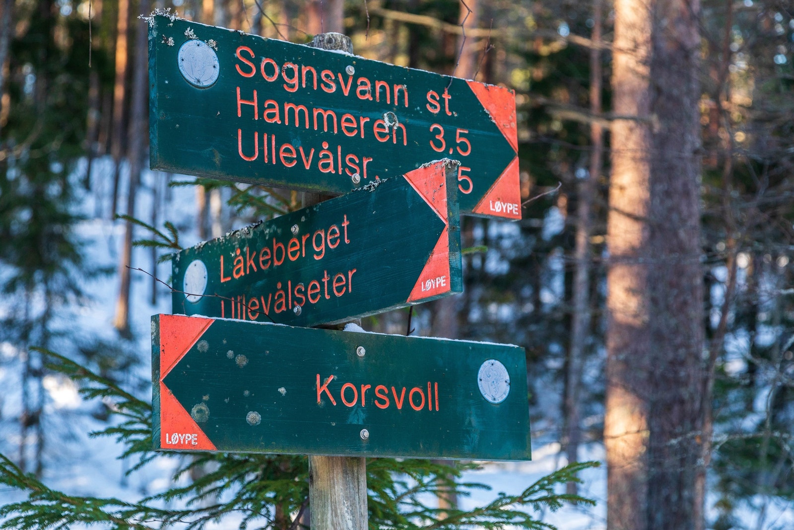 Her er turmulighetene mange Galleribilde