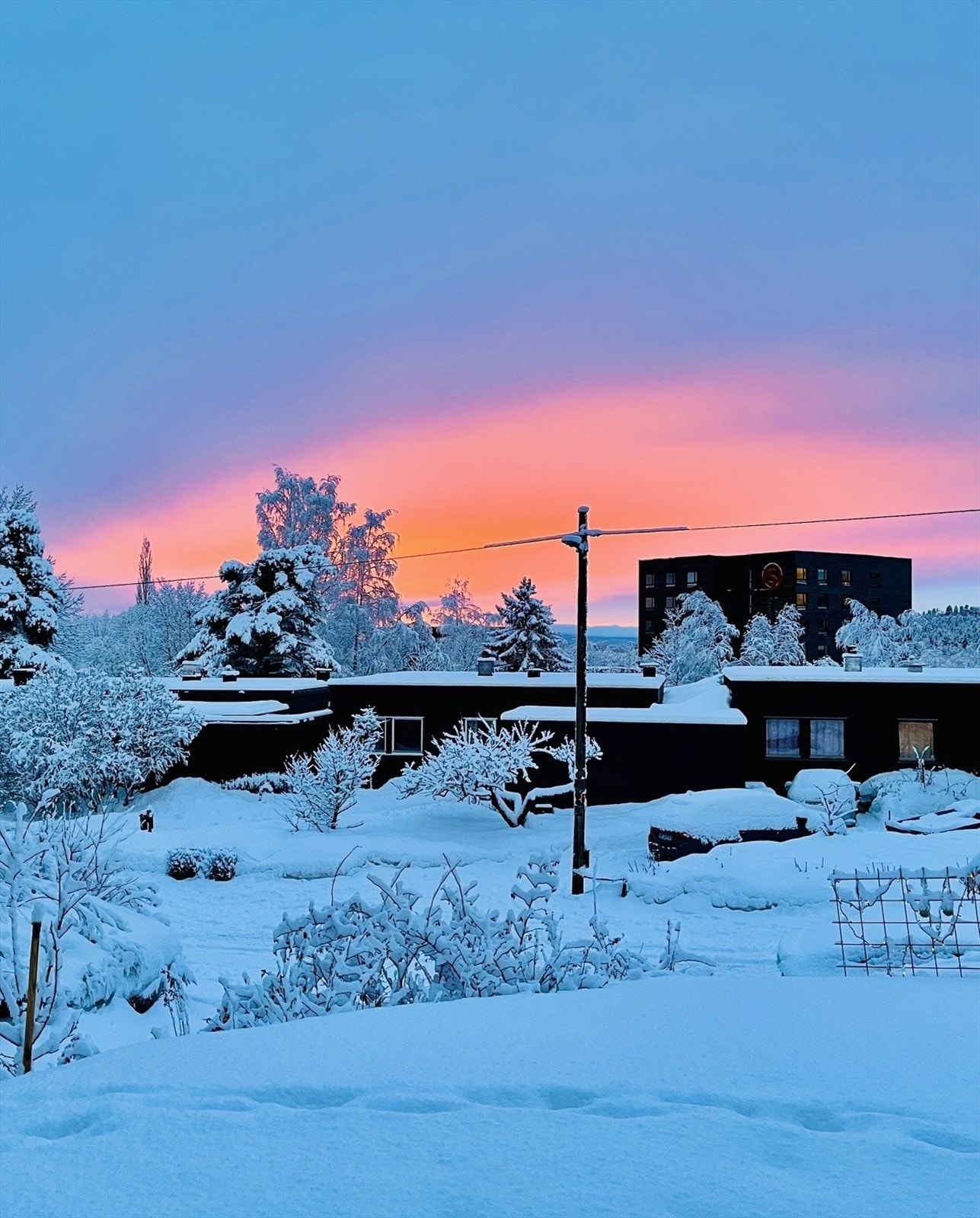 Selgers private bilde Galleribilde