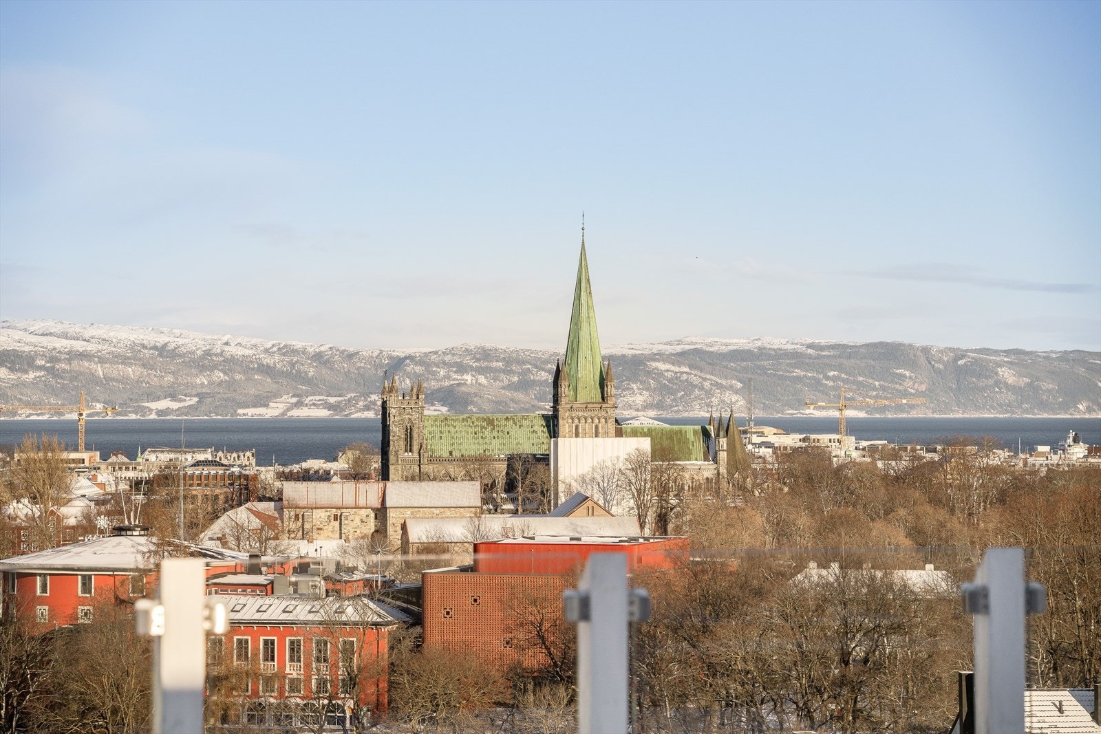 Herfra har man storslått utsikt mot Trondheimsfjorden og Nidarosdomen. Galleribilde