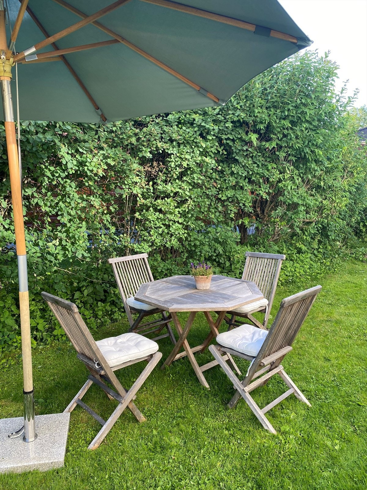 Selgers private bilder. Galleribilde