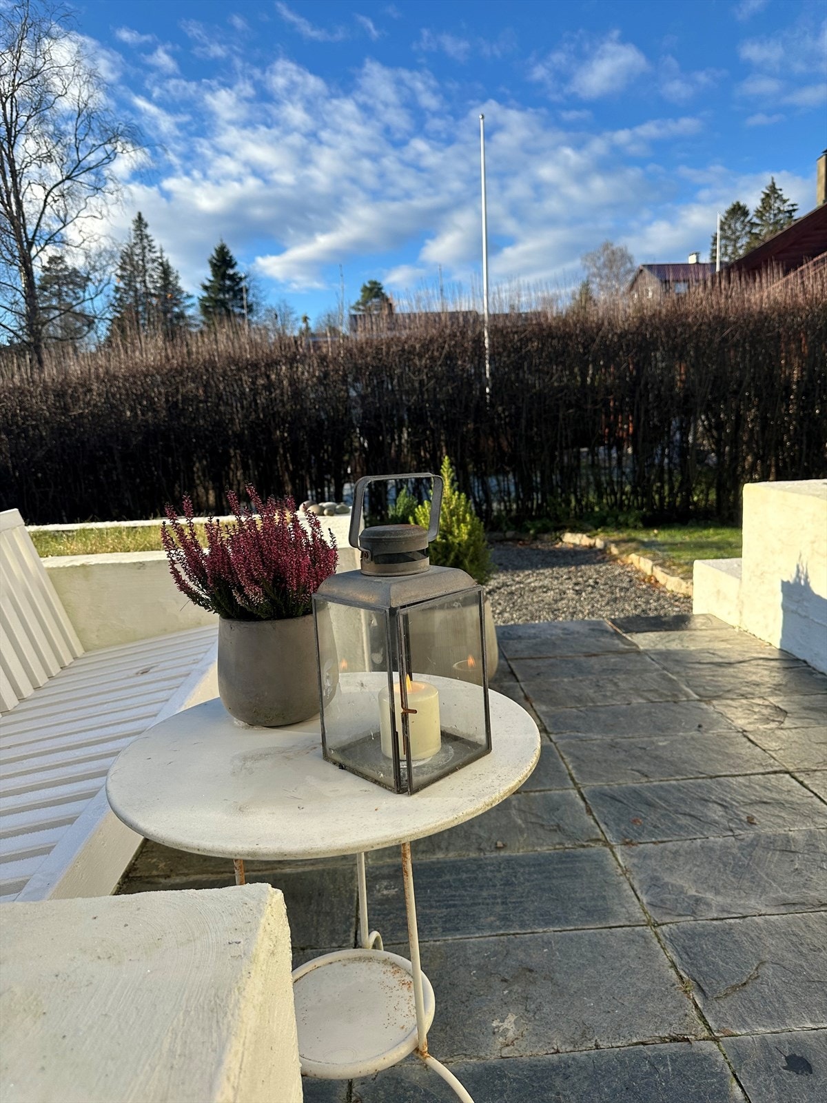 Selgers private bilder Galleribilde