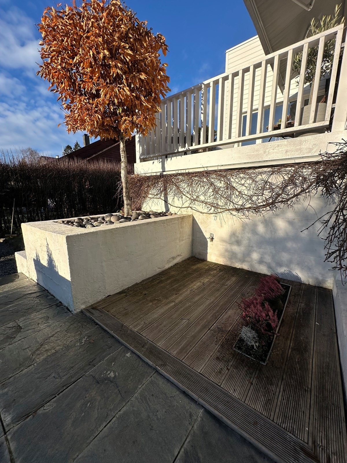 Selgers private bilder Galleribilde