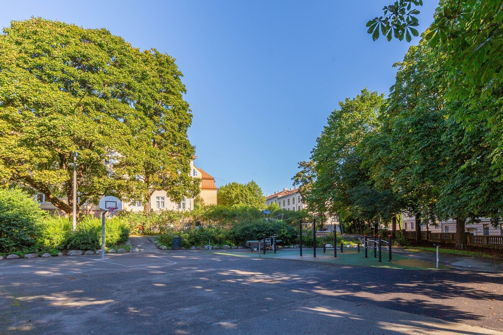 Nærområdet. Galleribilde