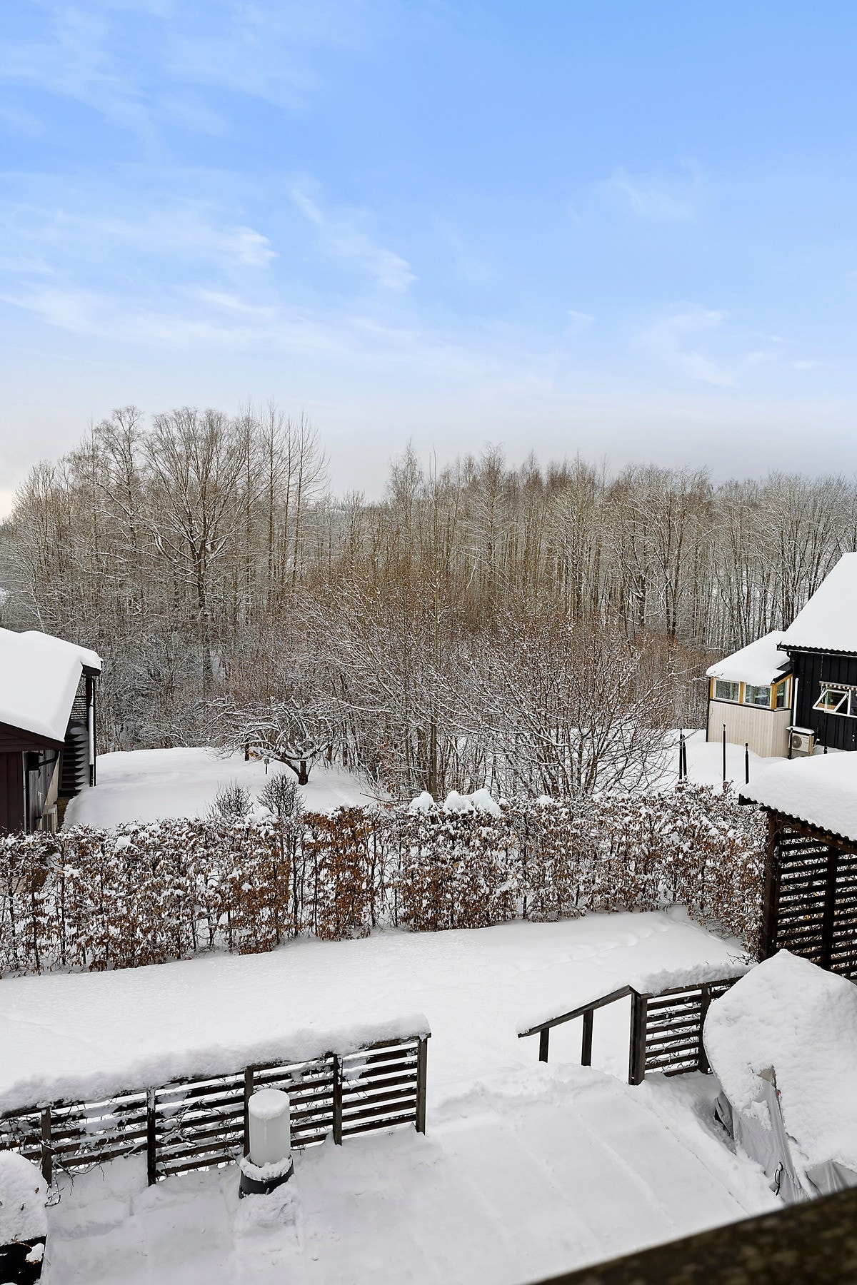 Utsikten fra veranden mot Hogstadvannet og marka Galleribilde