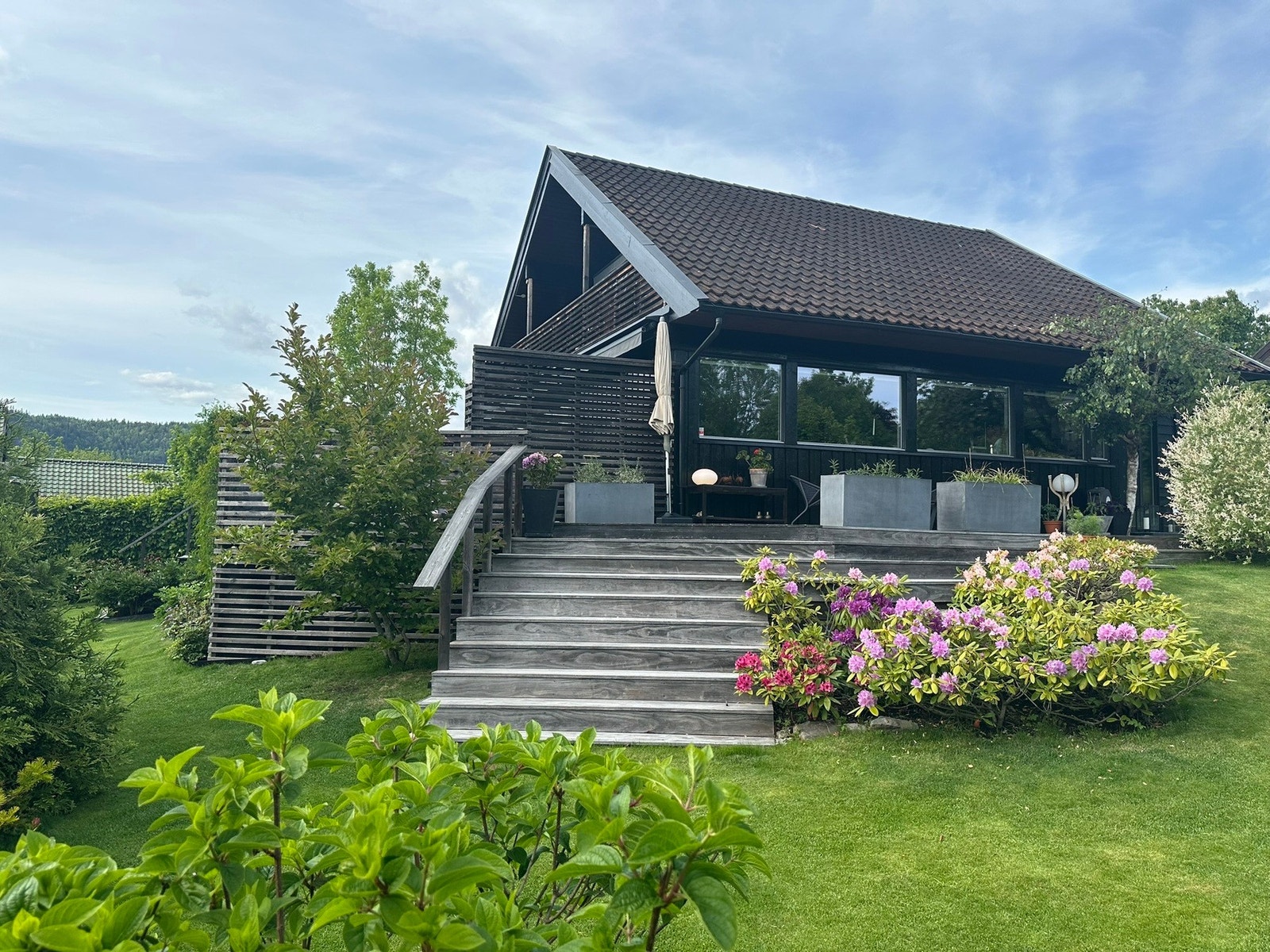 Koselig sommerbilde tatt av selger Galleribilde