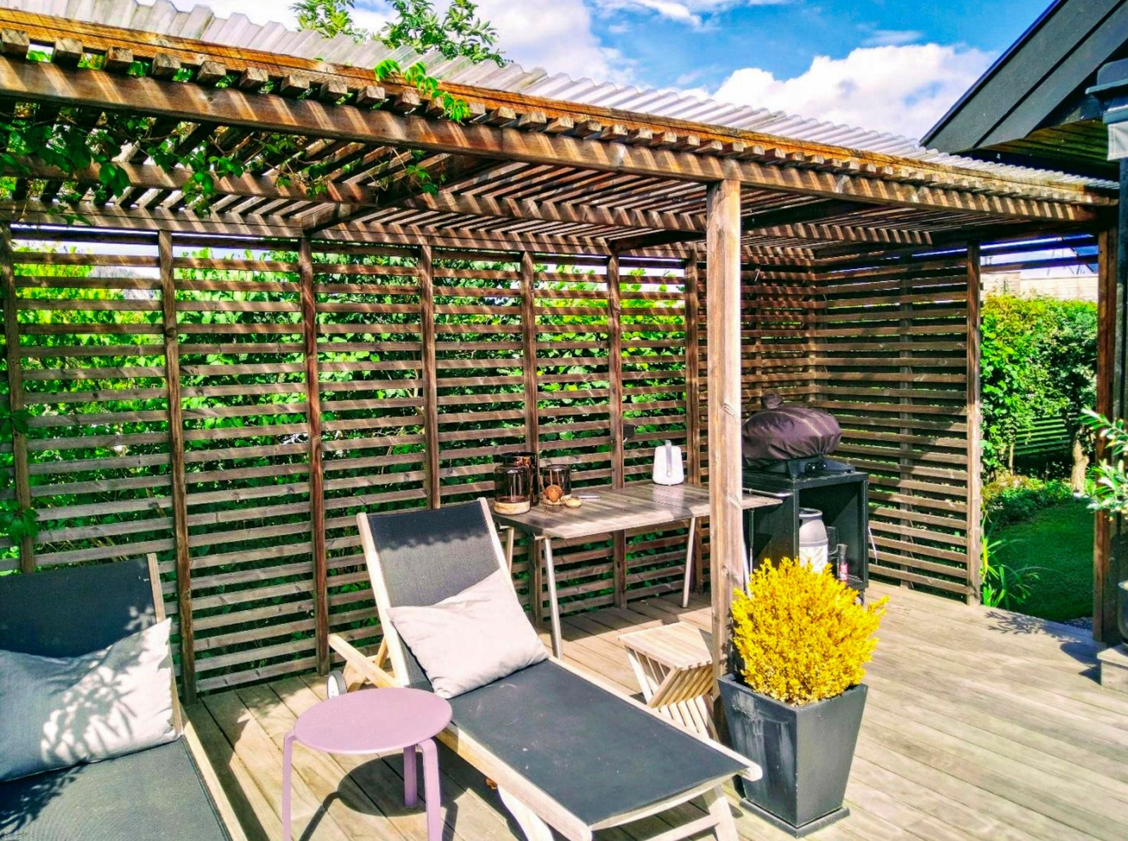 Pergolaen Galleribilde