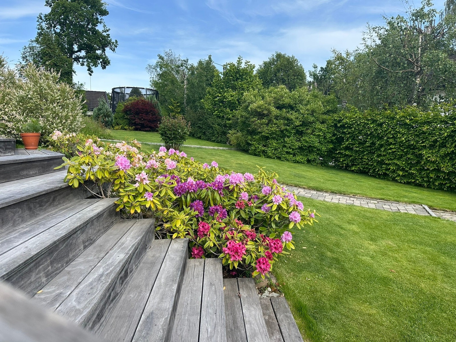 Hagen er pent beplantet med bl.a. Rhododendron-busker Galleribilde