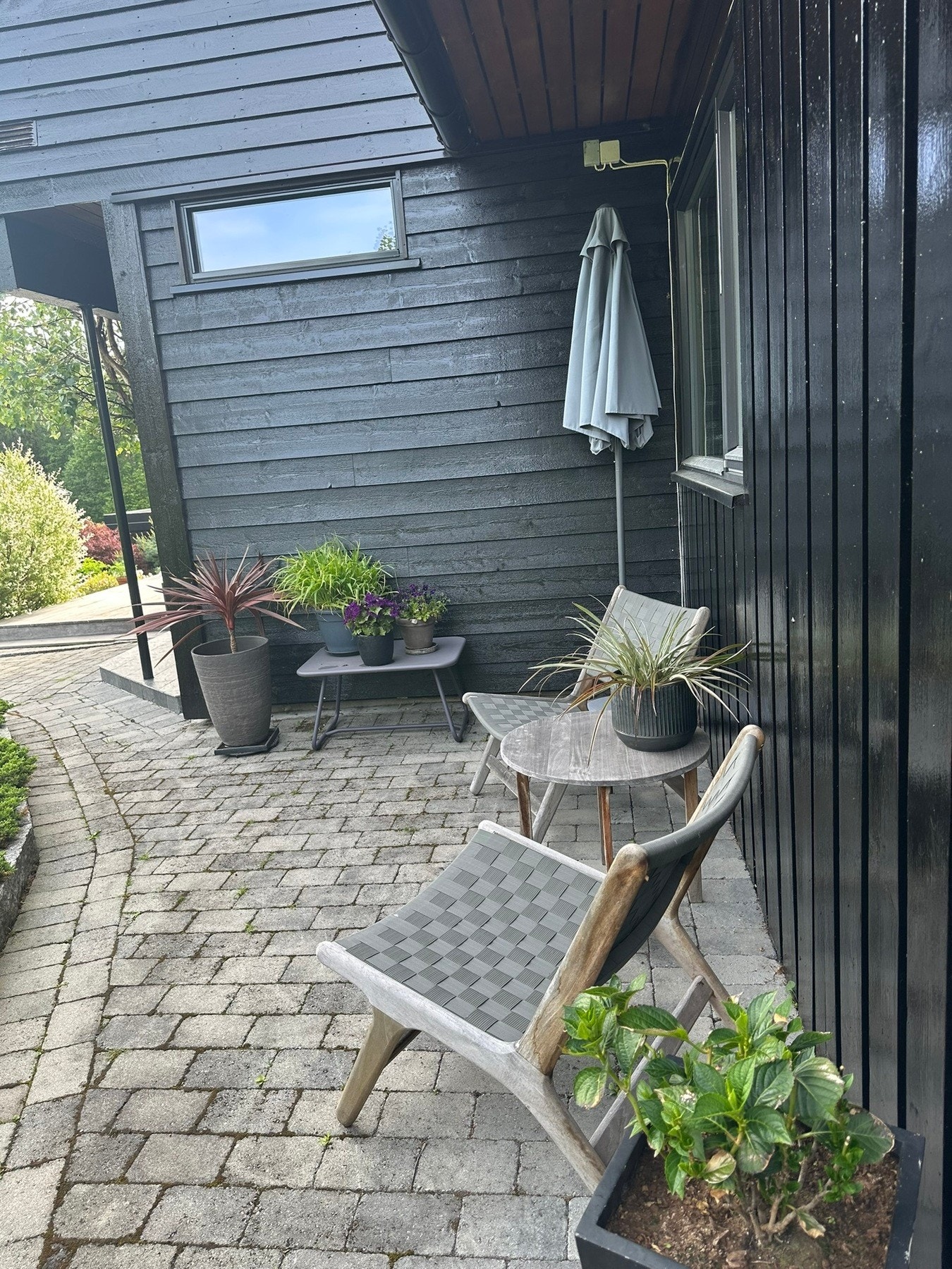 Frokost plattingen Galleribilde