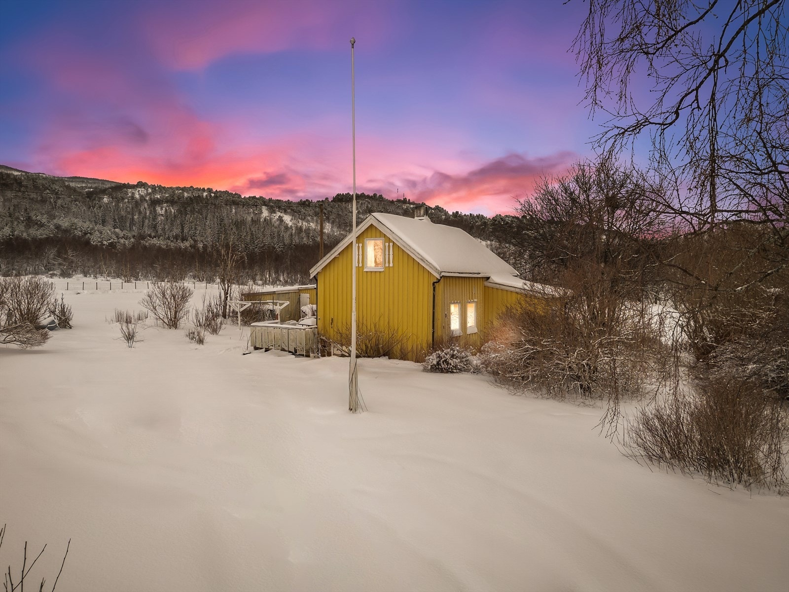 Ettermiddagsbilde Galleribilde