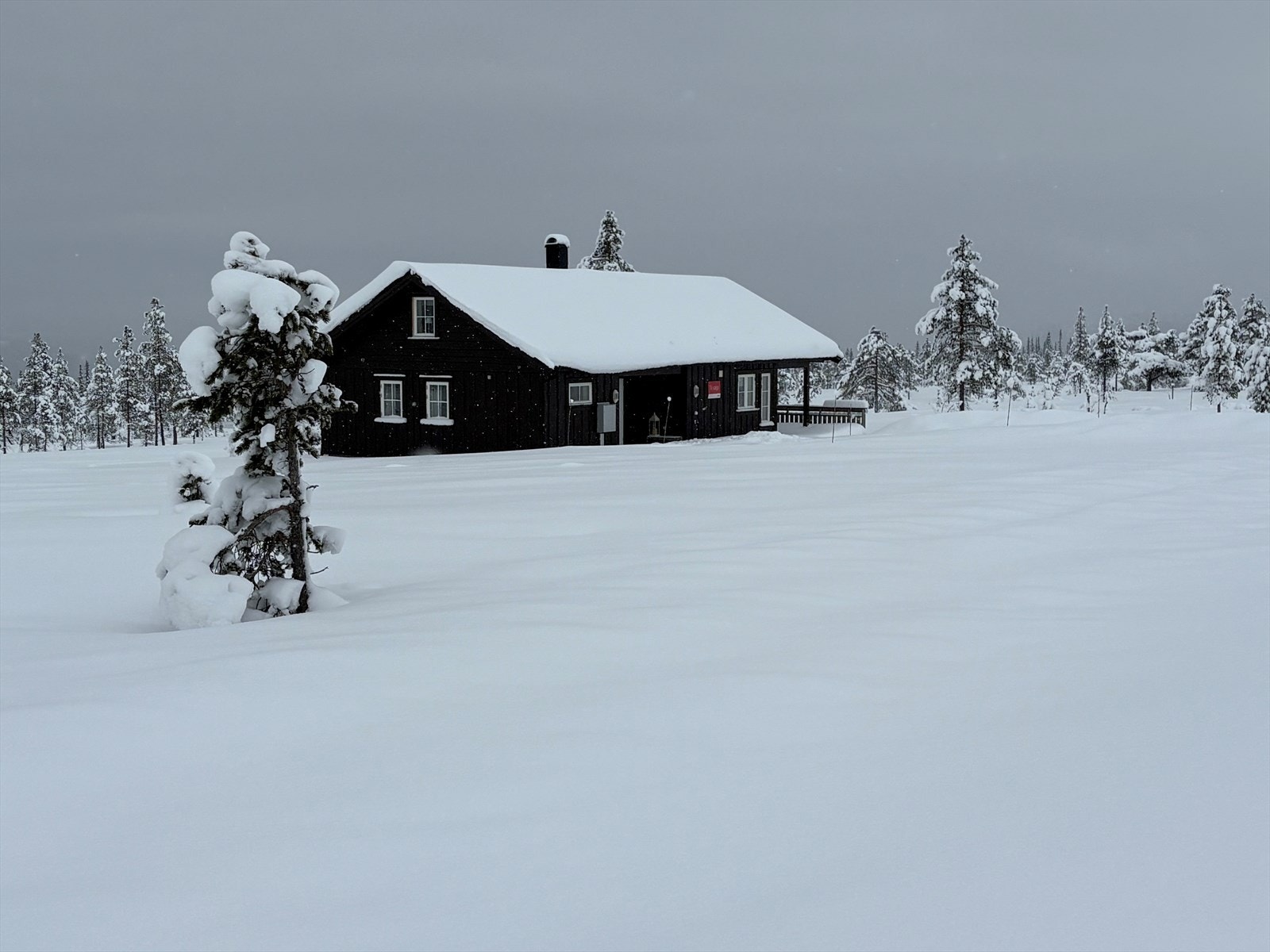 Selgers private bilde. Galleribilde