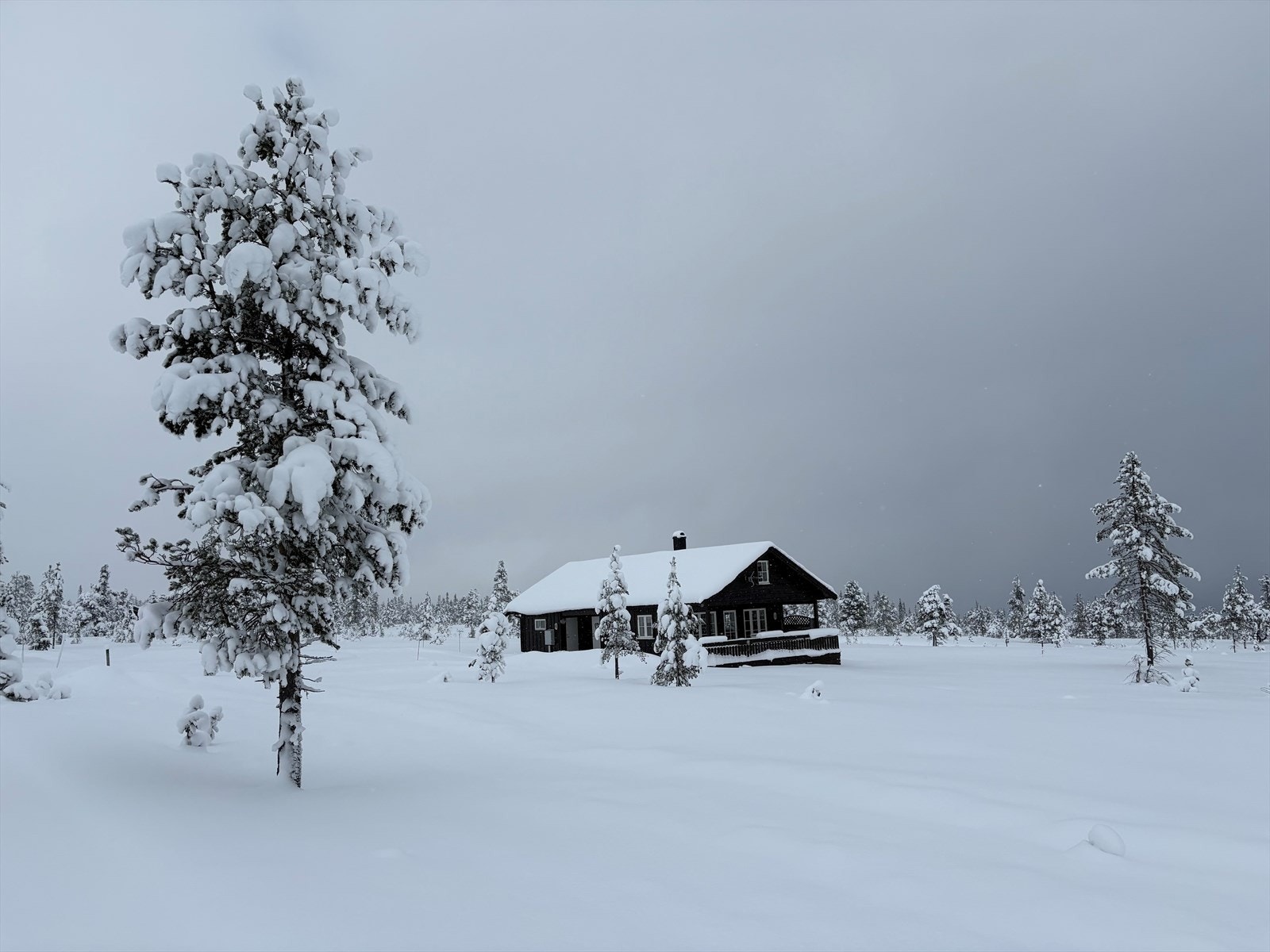 Selgers private bilde. Galleribilde