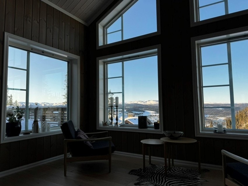Fra stuen Galleribilde