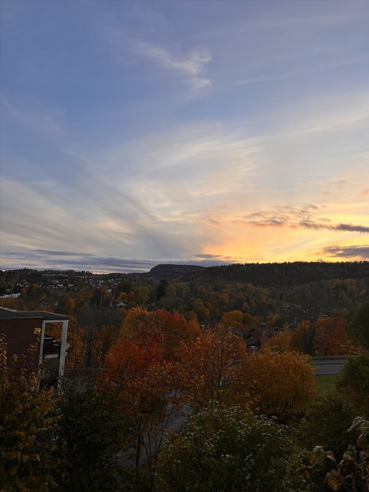 Selgers foto Galleribilde