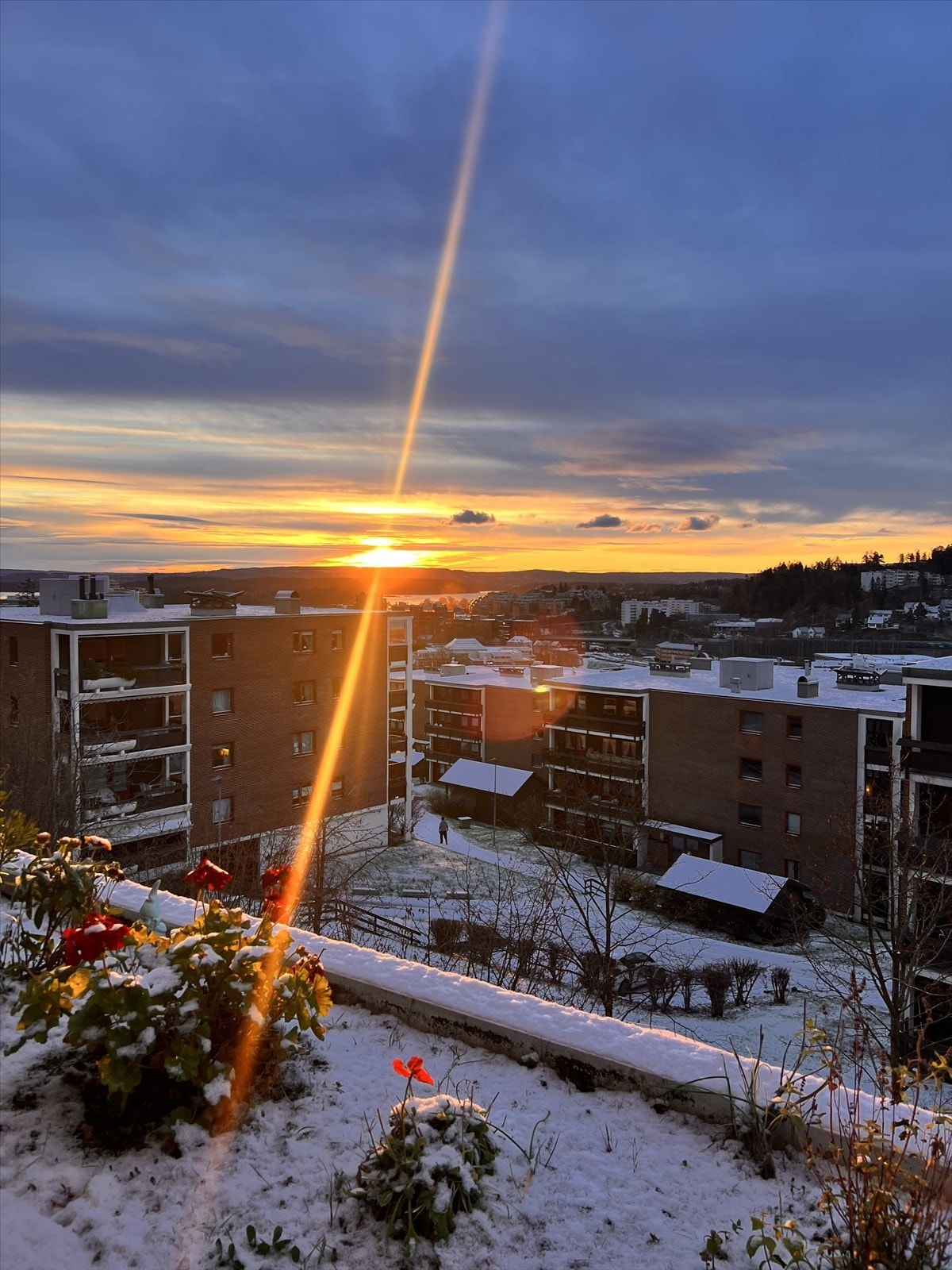 Selgers foto Galleribilde