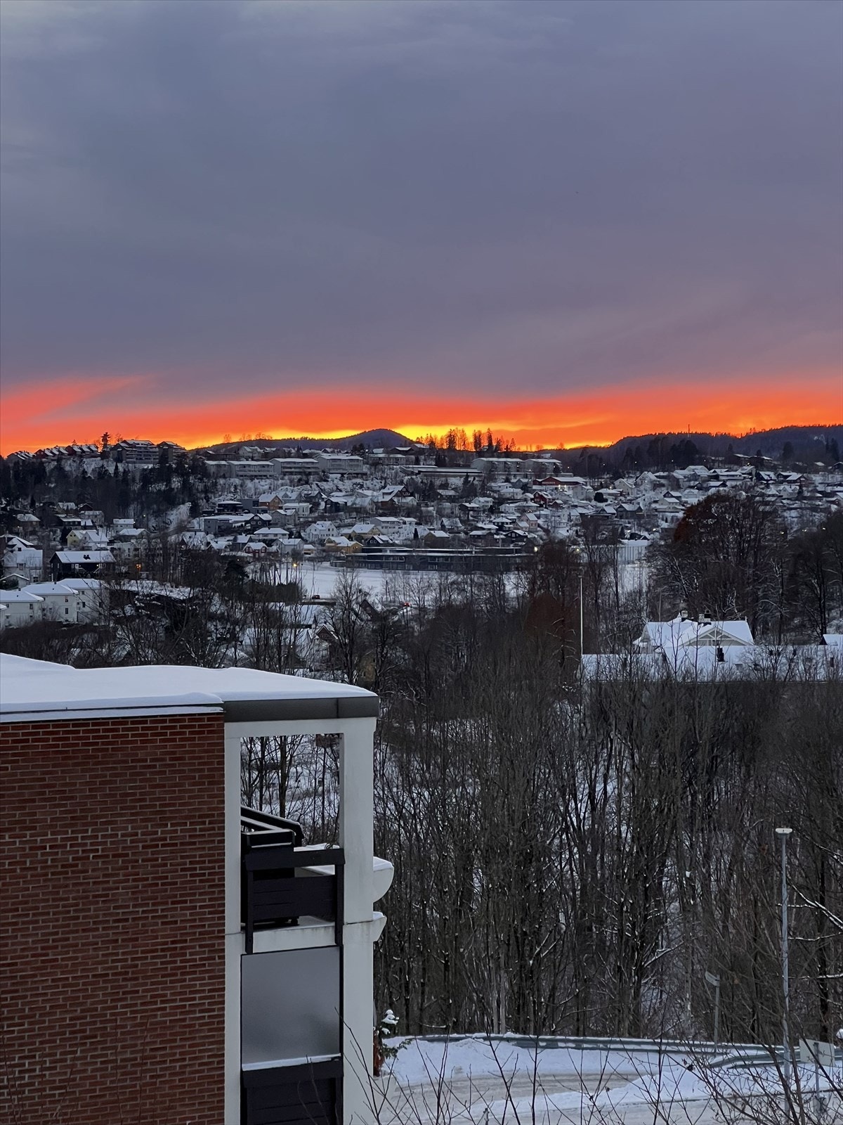 Selgers foto Galleribilde