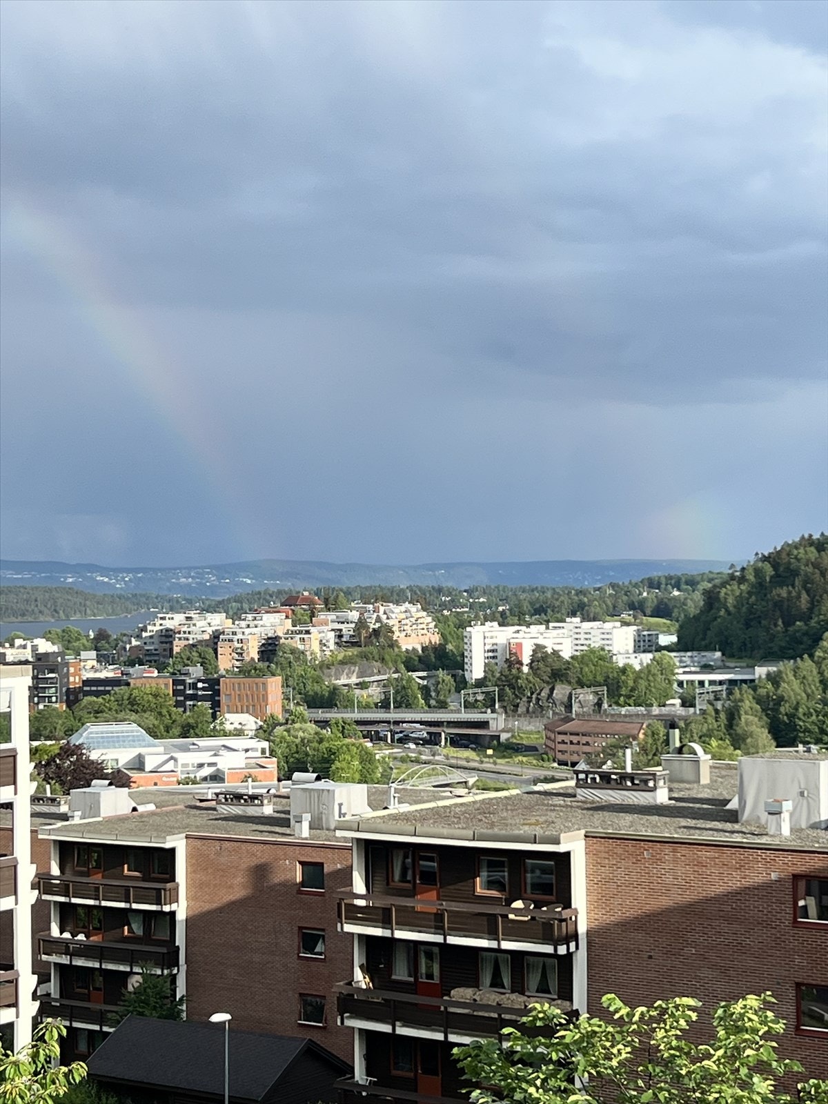 Selgers foto Galleribilde