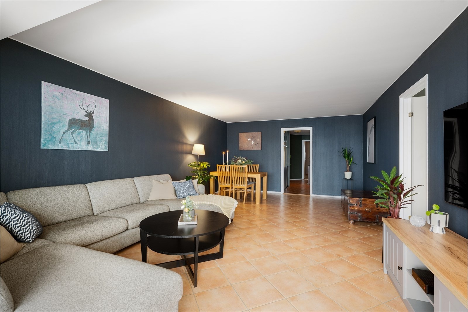 Her får du kabel-tv/internett fra Telenor inkludert i felleskostnadene Galleribilde