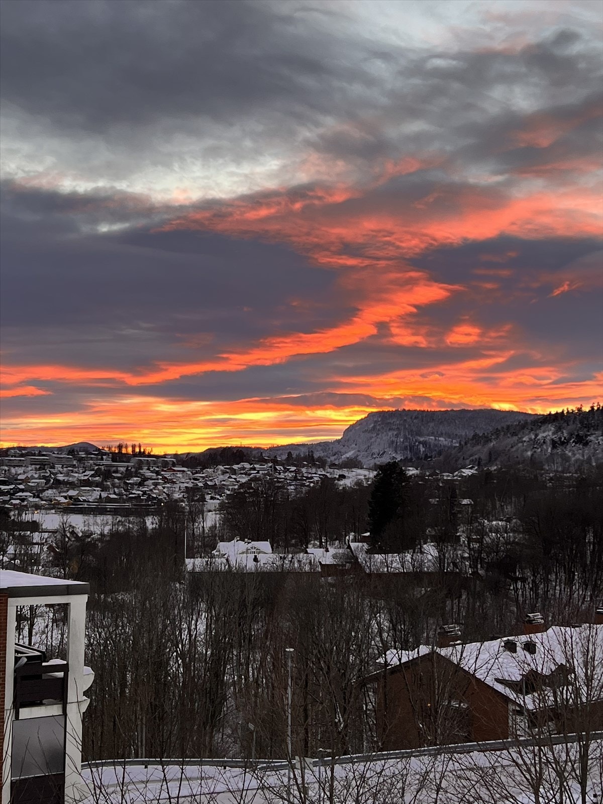 Selgers foto Galleribilde