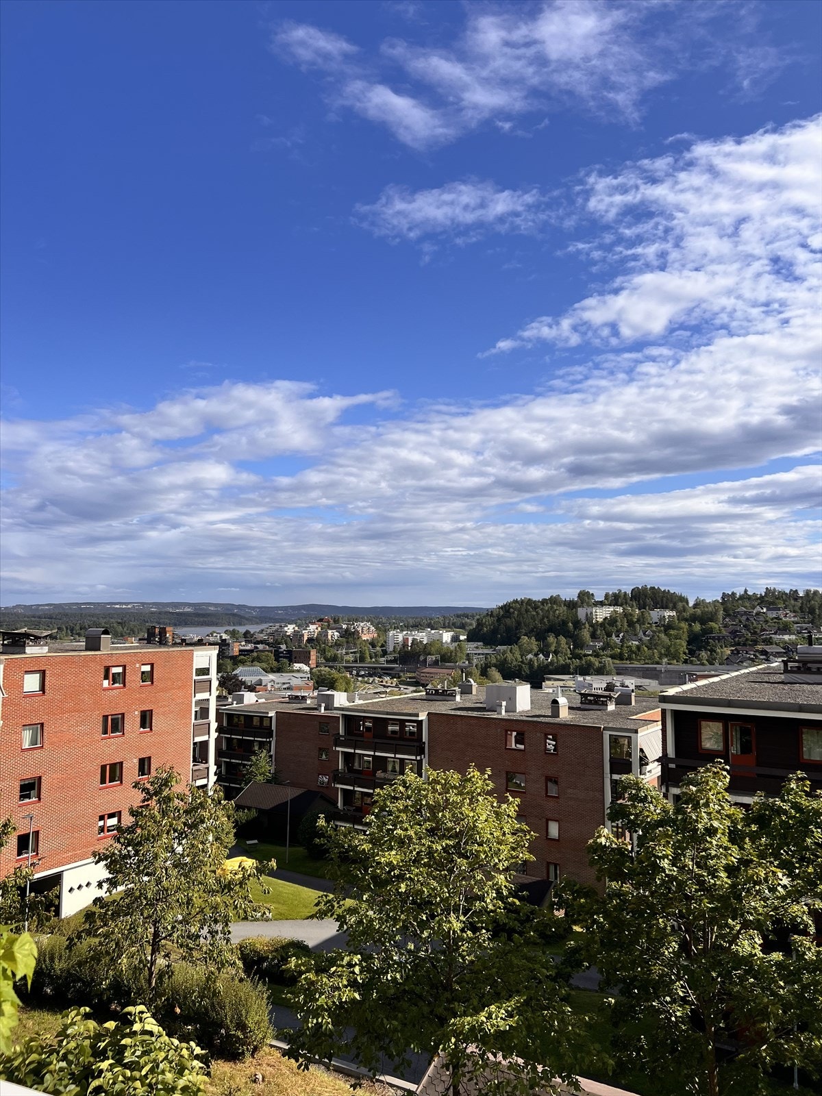 Selgers foto Galleribilde