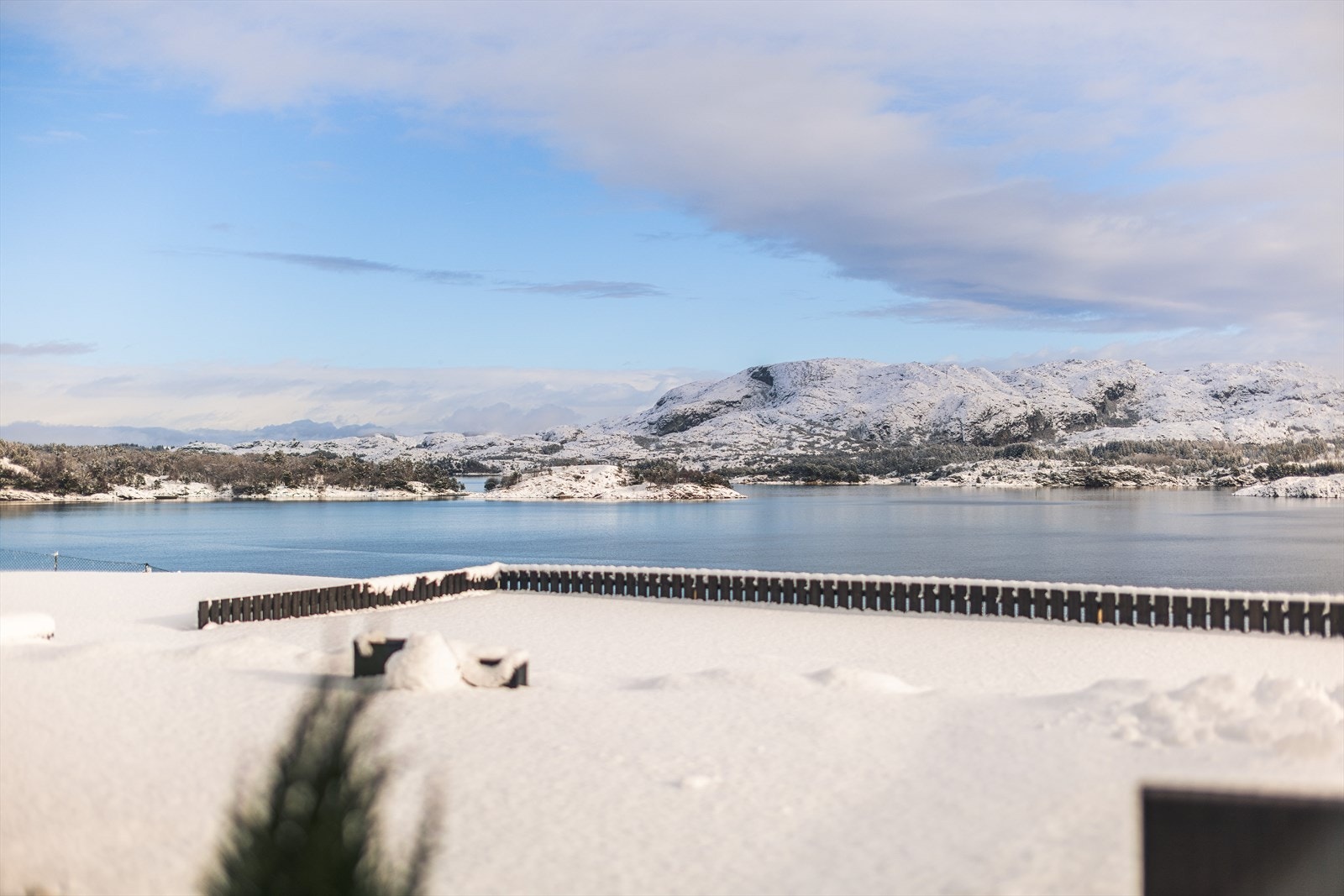Hjertelig velkommen til hyggelig visning! - Husk å melde deg på! Galleribilde