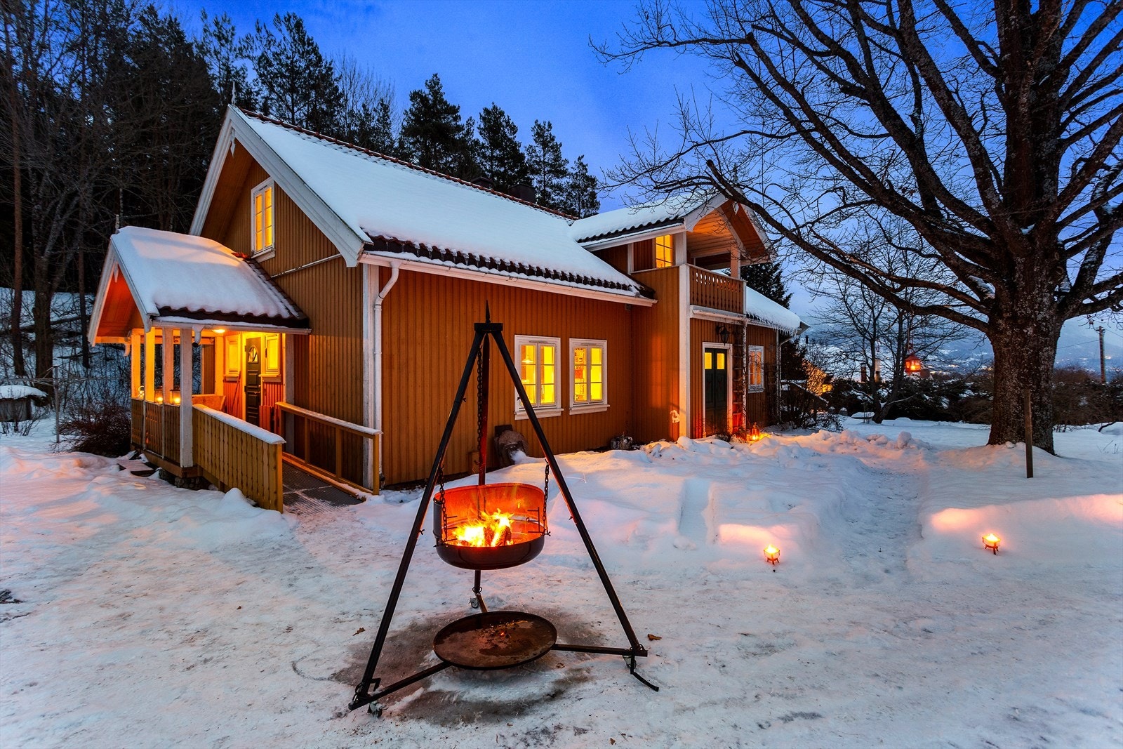 Sjarm og hygge. Stort tuntre tl høyre i bildet Galleribilde