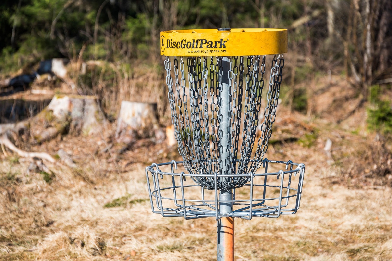 Frisbeegolfbane - stor miljø for dette. Galleribilde