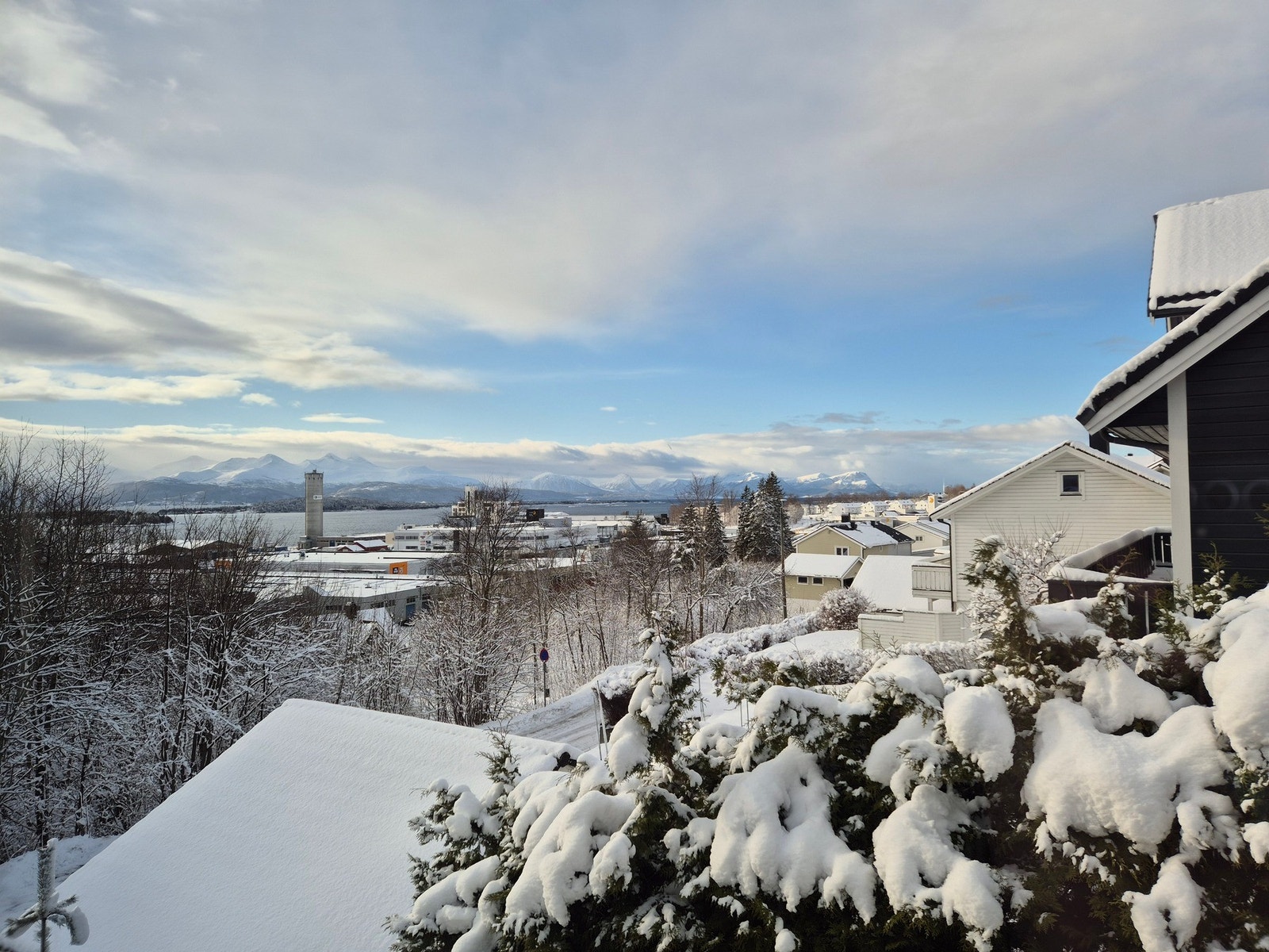 Selgers utsiktsbilde. Galleribilde