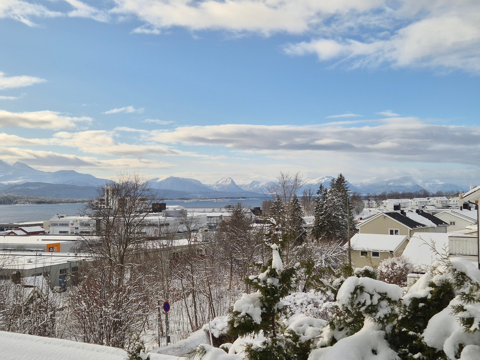 Selgers utsiktsbilde. Galleribilde