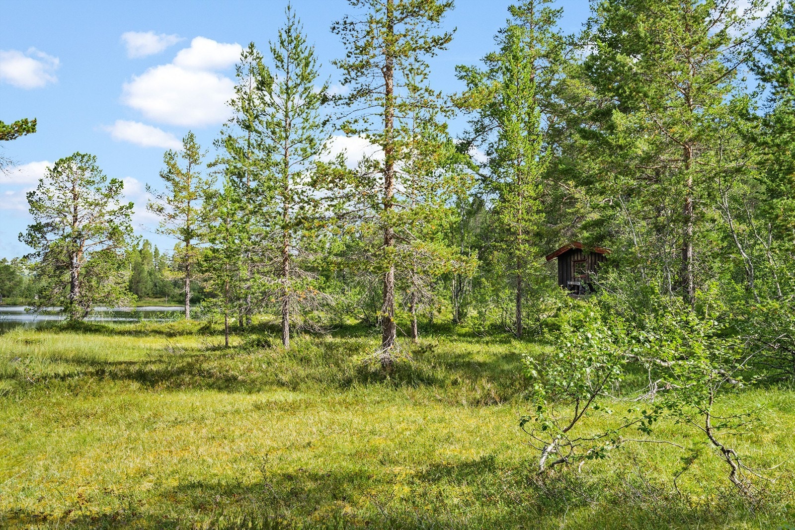 - Velkommen til Røyrtjønn - Galleribilde