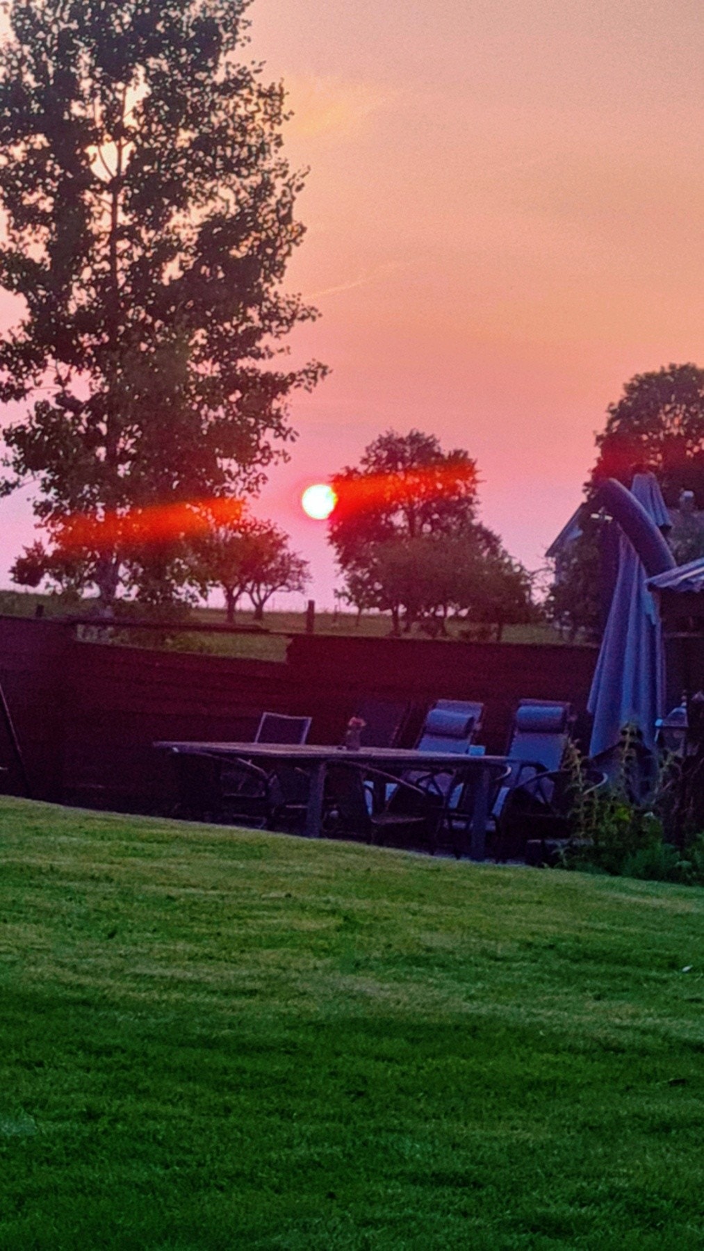 Selgers private bilder. Galleribilde