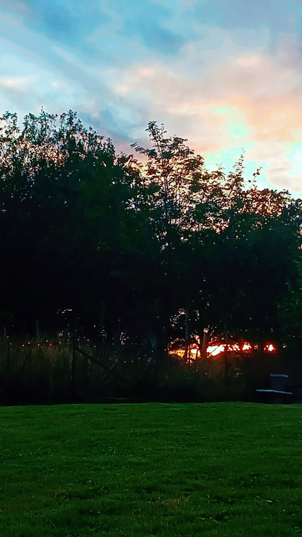 Selgers private bilder. Galleribilde