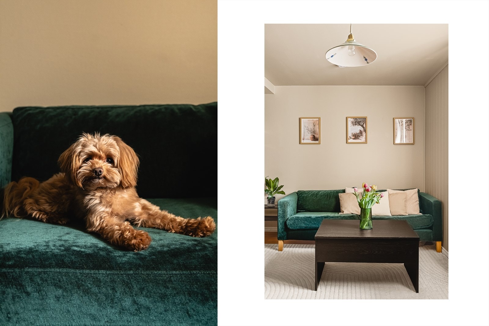 Overflatene i stuen er nymalt i 2025. Galleribilde