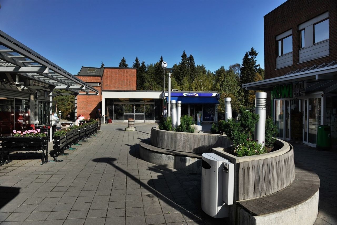 Ellingsrud Senter rager øverst på Ellingsrudåsen med flere forretninger som bl.a. Kiwi, Narvesen, Frisør samt T-bane og buss. Galleribilde