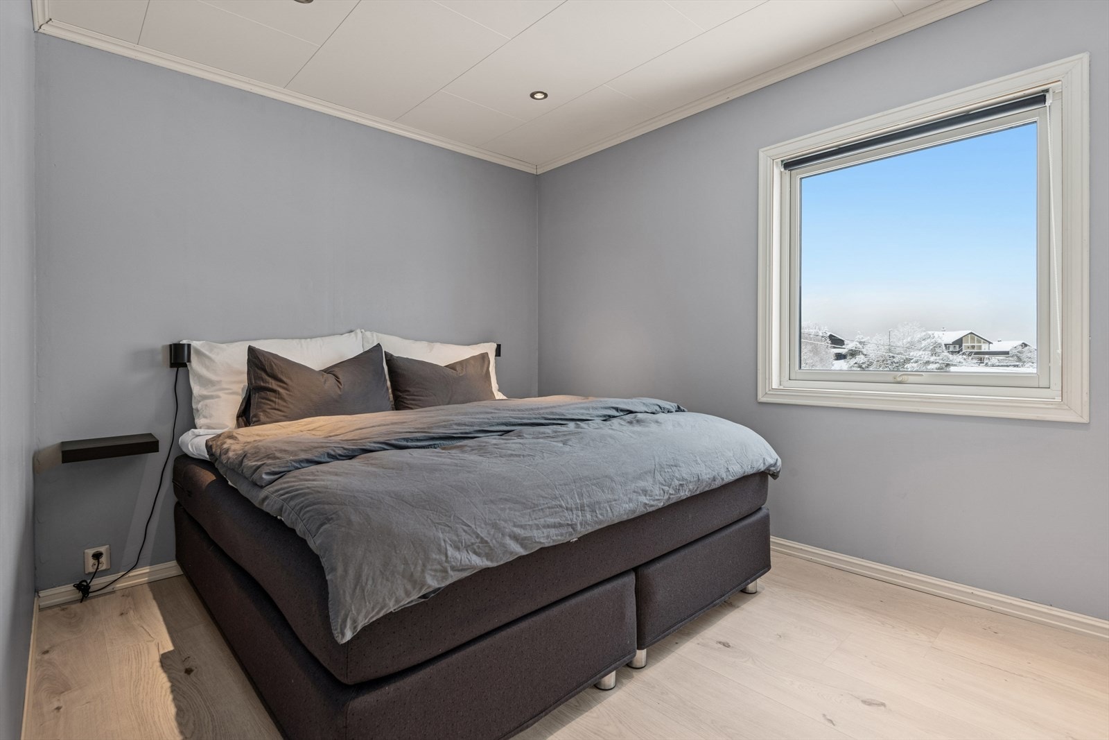 Et behagelig privatrom med harmonisk fargepalett og gode lysforhold. Galleribilde