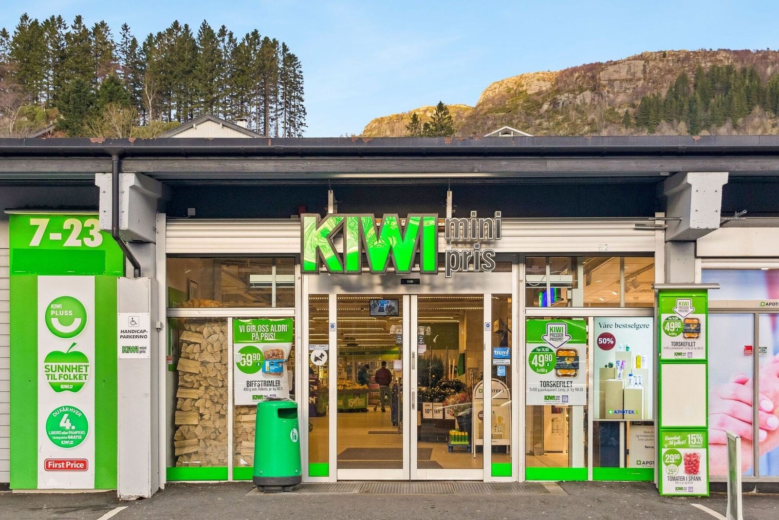 Kiwi Galleribilde