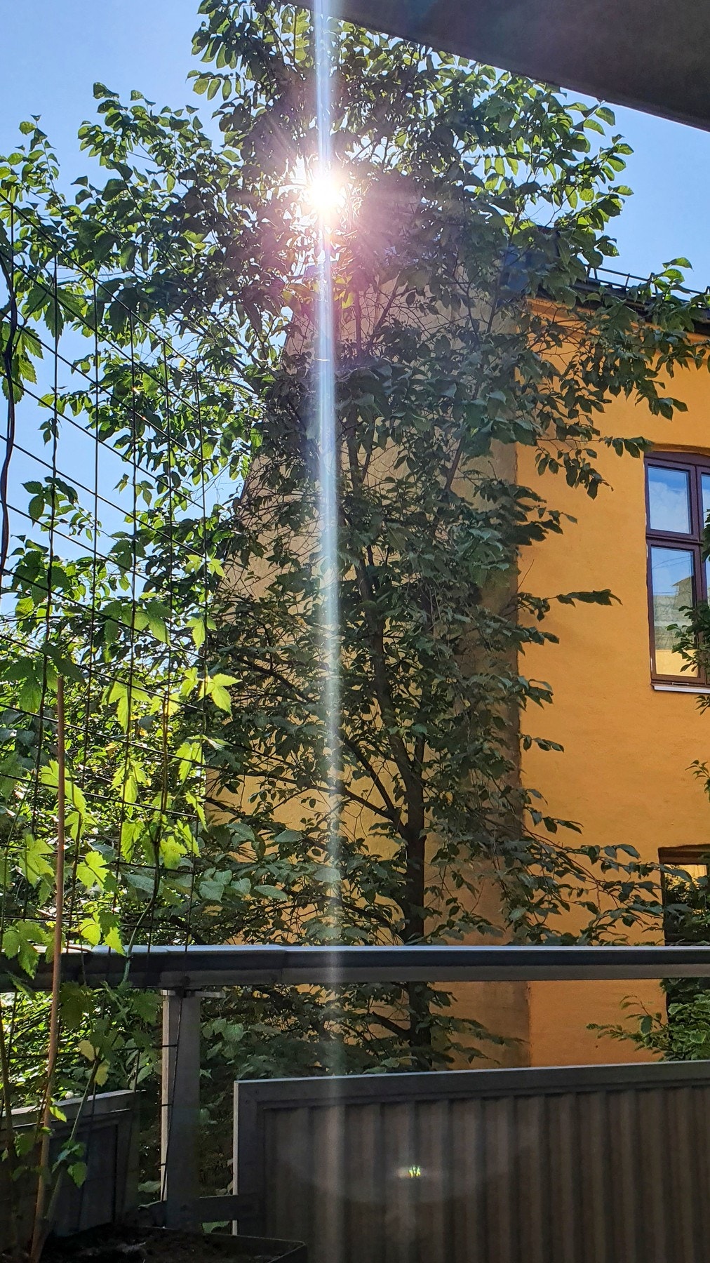 Grønne, fine omgivelser om sommeren (bilde fra selger) Galleribilde