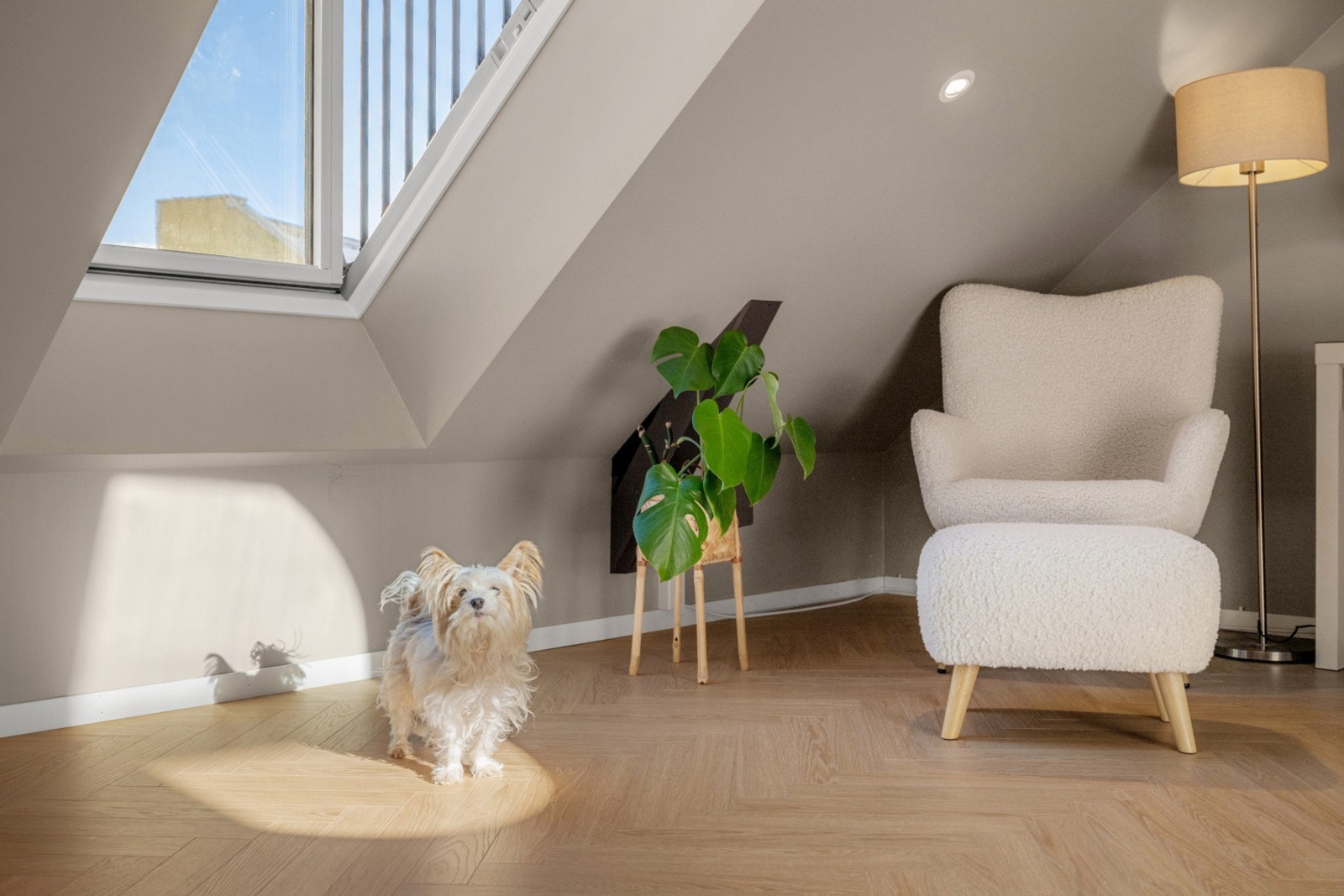 Fine lys- og solforhold i hele boligen. Galleribilde