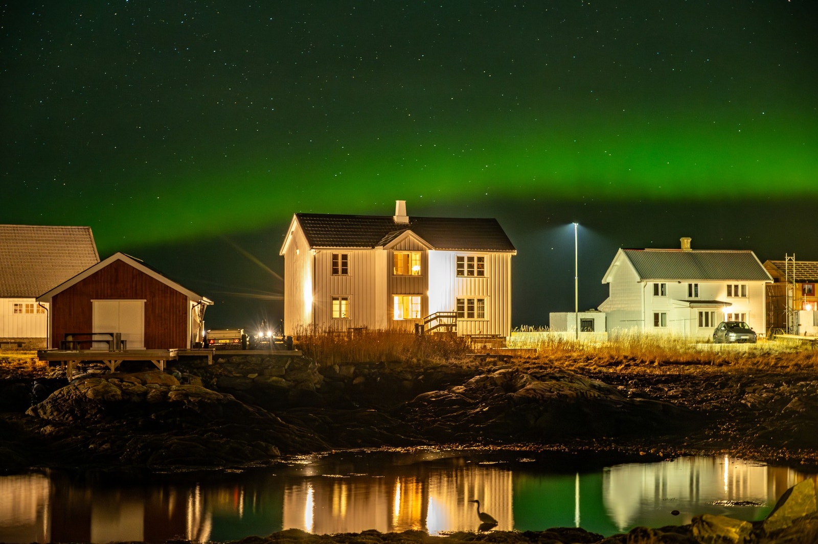 Selgers eget bilde Galleribilde