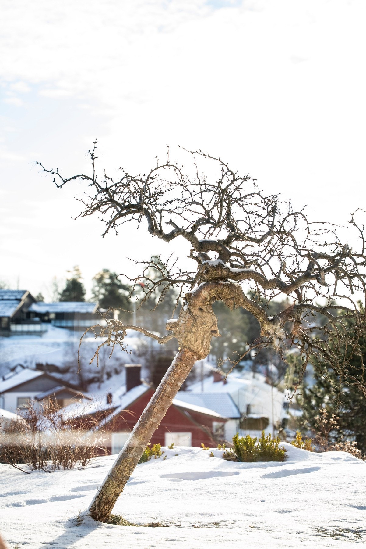 Detaljer.. Galleribilde