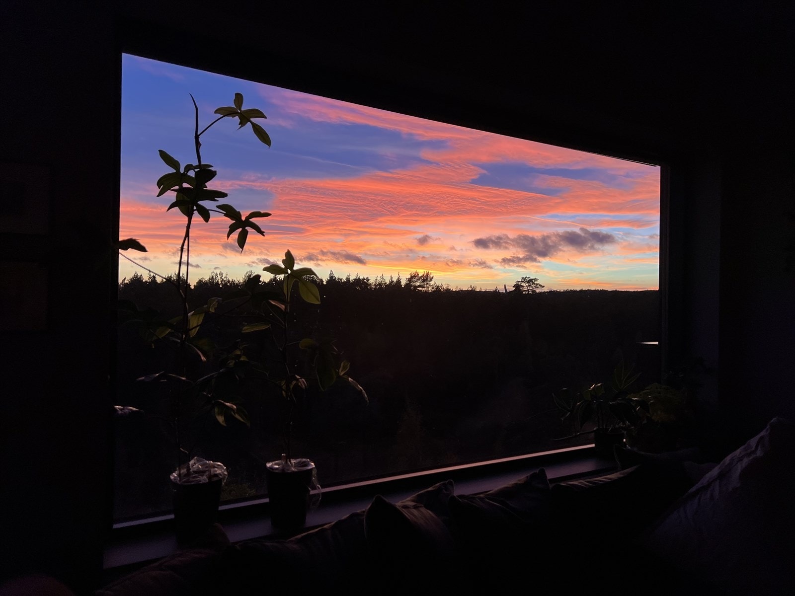 Nydelige solnedganger fra stue! Galleribilde