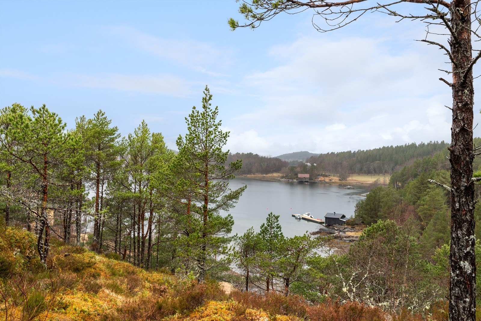 Fra eiendommen er det ca. 1,6 km til nærmeste dagligvarebutikk. Det er ca. 12 km til Aure sentrum hvor det er kjøpesenter, dagligvarebutikker, restaurant mm. Galleribilde