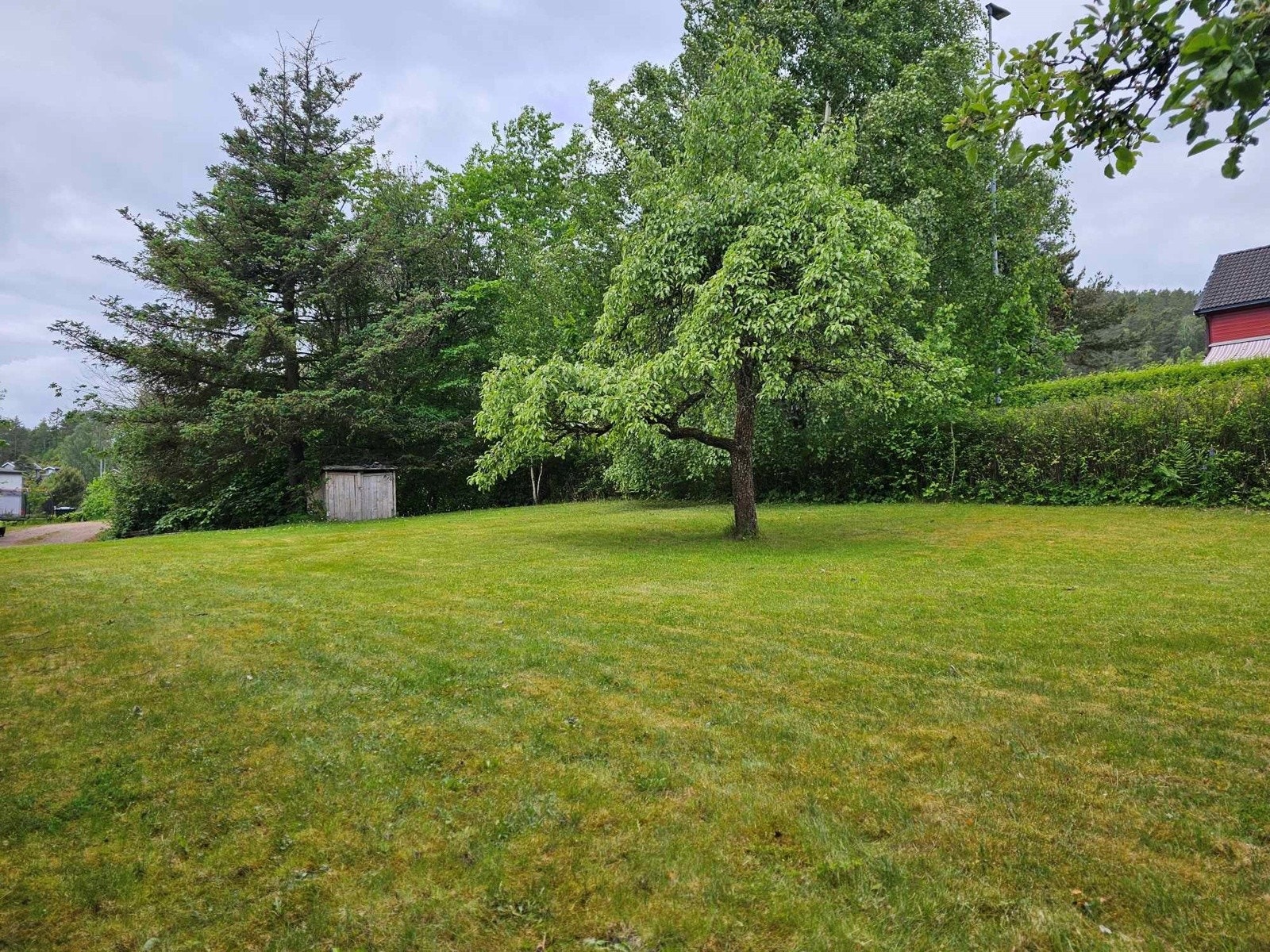 Boltreplass for store og små med epletre, pæretre og diverse prydbusker Galleribilde