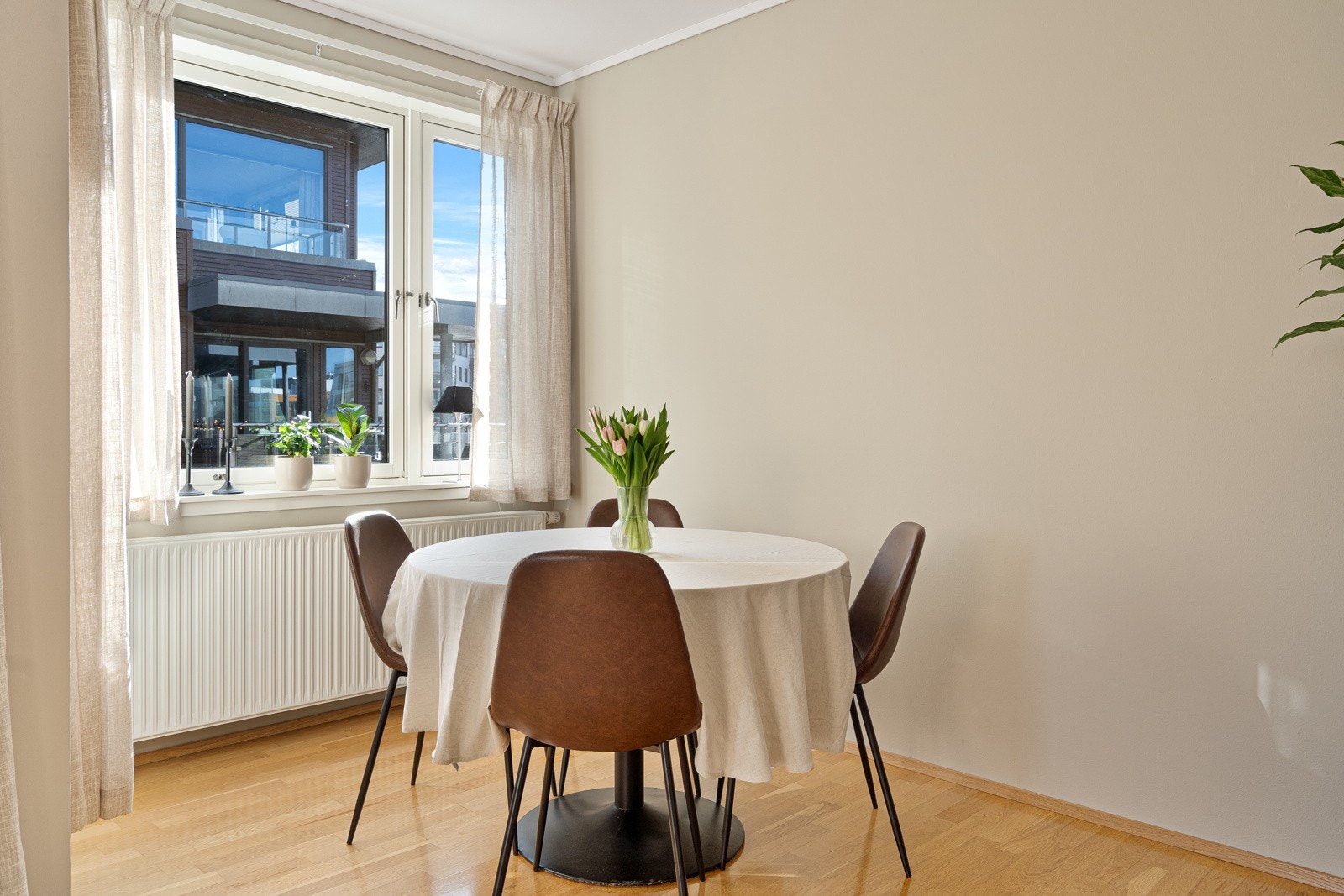 Vegger og tak er nylig malt, og gulvet er også lakkert. Galleribilde