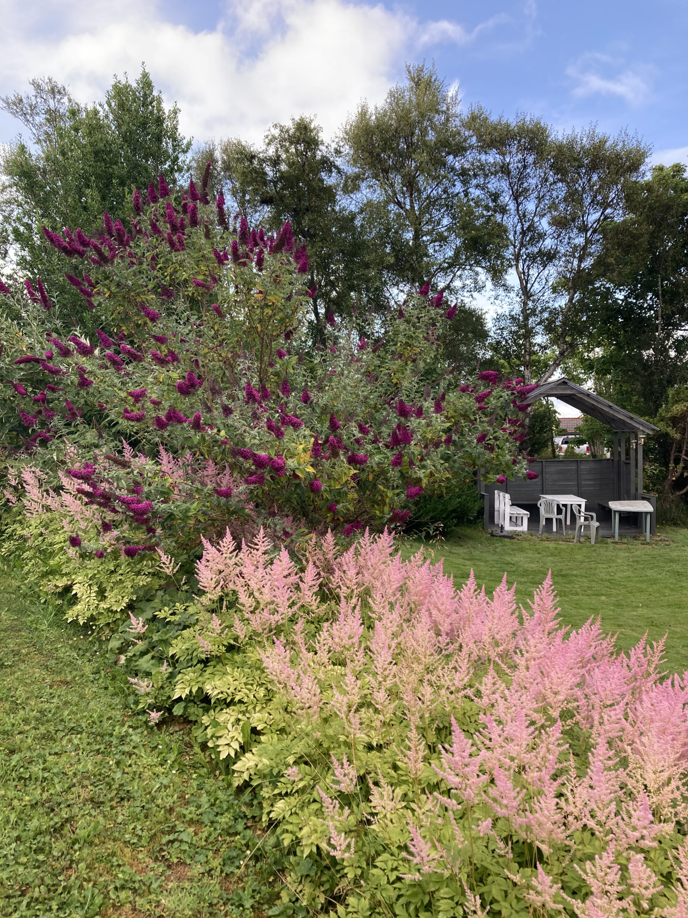 Privat bilde fra selger Galleribilde